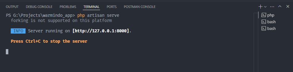 Laravel serve